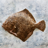 DIRECT. Turbot Farmed Whole 2-2.5kg