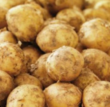 NAT. Potato Jersey Royals Mids Kilo