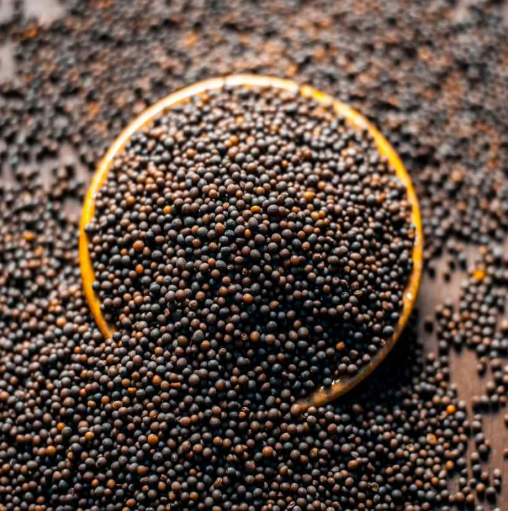 Elite. FGS Mustard Seeds (CF) 700g