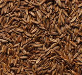 Elite. FGS Triple Lion Caraway Seeds (CF) 500g