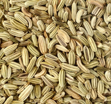 Elite. FGS Whole Fennel Seeds (CF) 430g