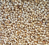 Elite. Caterfood Select Whole Sesame Seeds 550g