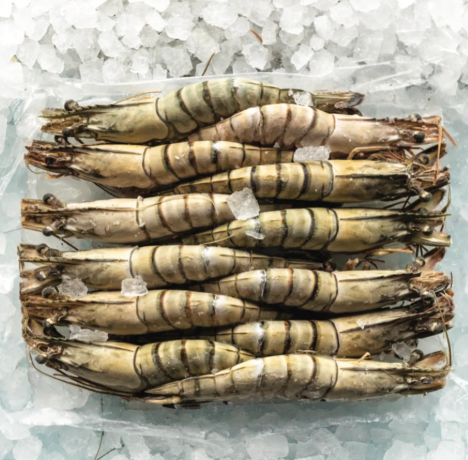 DIRECT. Frozen Black Tiger Prawn- Head On - Raw - 8-12 600g Box