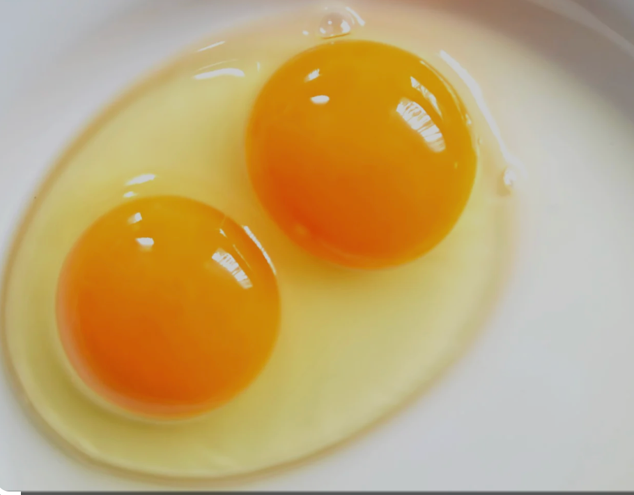 CHAPEL. Eggs 20 Dozen Double Yolk