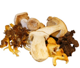 Elite. WildMix Mushrooms 250g
