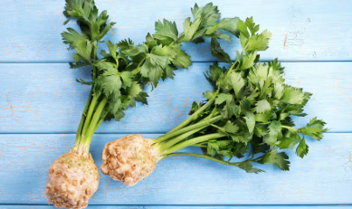 Elite. Celeriac