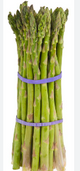 Elite. Asparagus