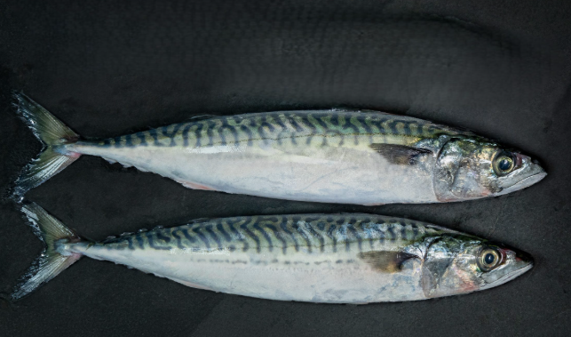 STICK.  Mackerel Whole Gilled & Gutted 400-600g. Priced by Kg.