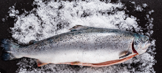 DIRECT.   Salmon Whole Gutted & Scaled 4-5kg