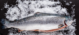 DIRECT.   Salmon Whole Gutted & Scaled 4-5kg