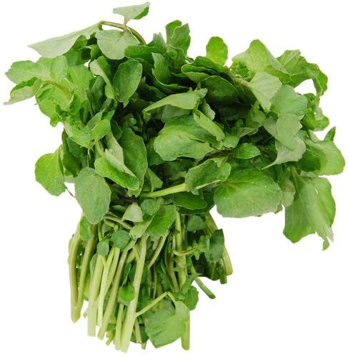 Elite. Watercress bunch