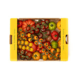 ELITE FV3057. Isle of Wight Heritage Tomatoes 3kg Box  NEW SEASON