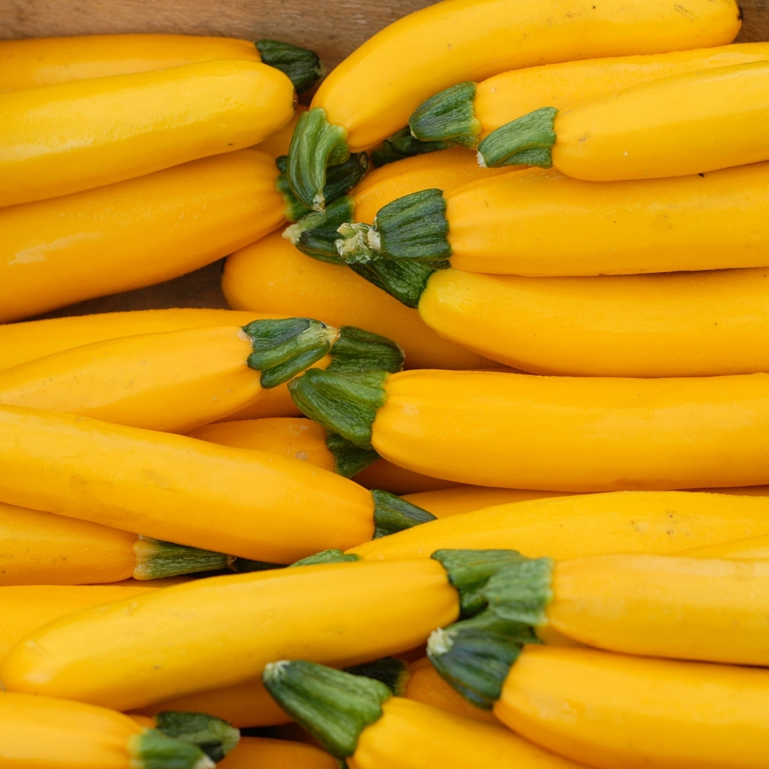 NAT. Courgette Yellow Kilo