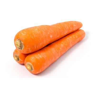 NAT. Carrots Large - Donkey 10 Kilo Bag