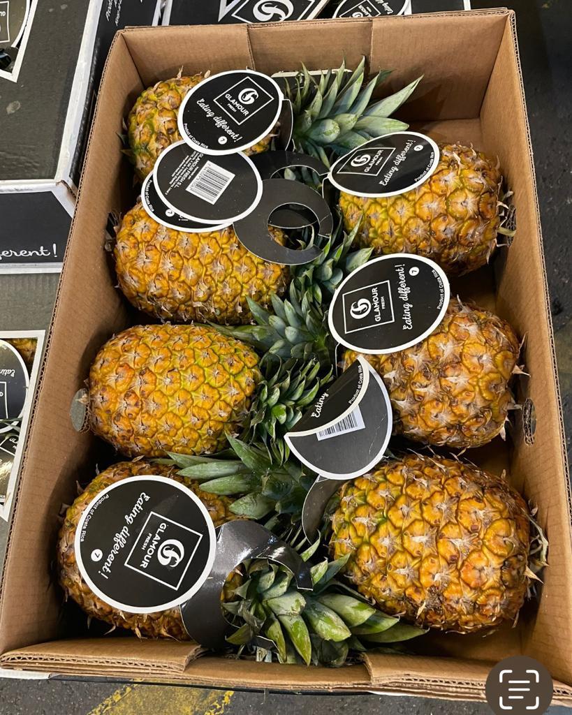 Pineapples Premium Costa Rica Extra Sweet Each