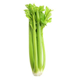 Elite. Celery