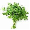 Elite. Chervil  100g