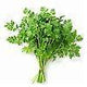Elite. Chervil  100g