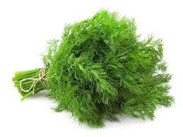 Elite. Dill Bunch