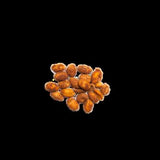 Elite. Mr Filberts Dry Roasted Peanuts  6x1.5kg