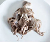 Elite. Squid Baby 20/40  800g