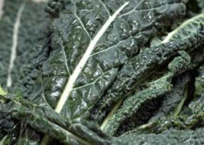 Elite. Cavolo Nero 250g