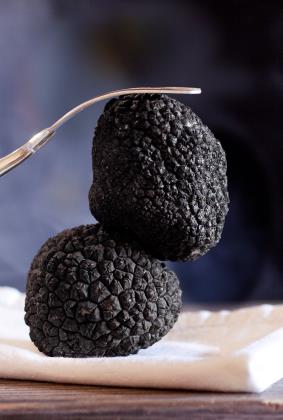 Elite. Fresh Black Truffles 1x100g