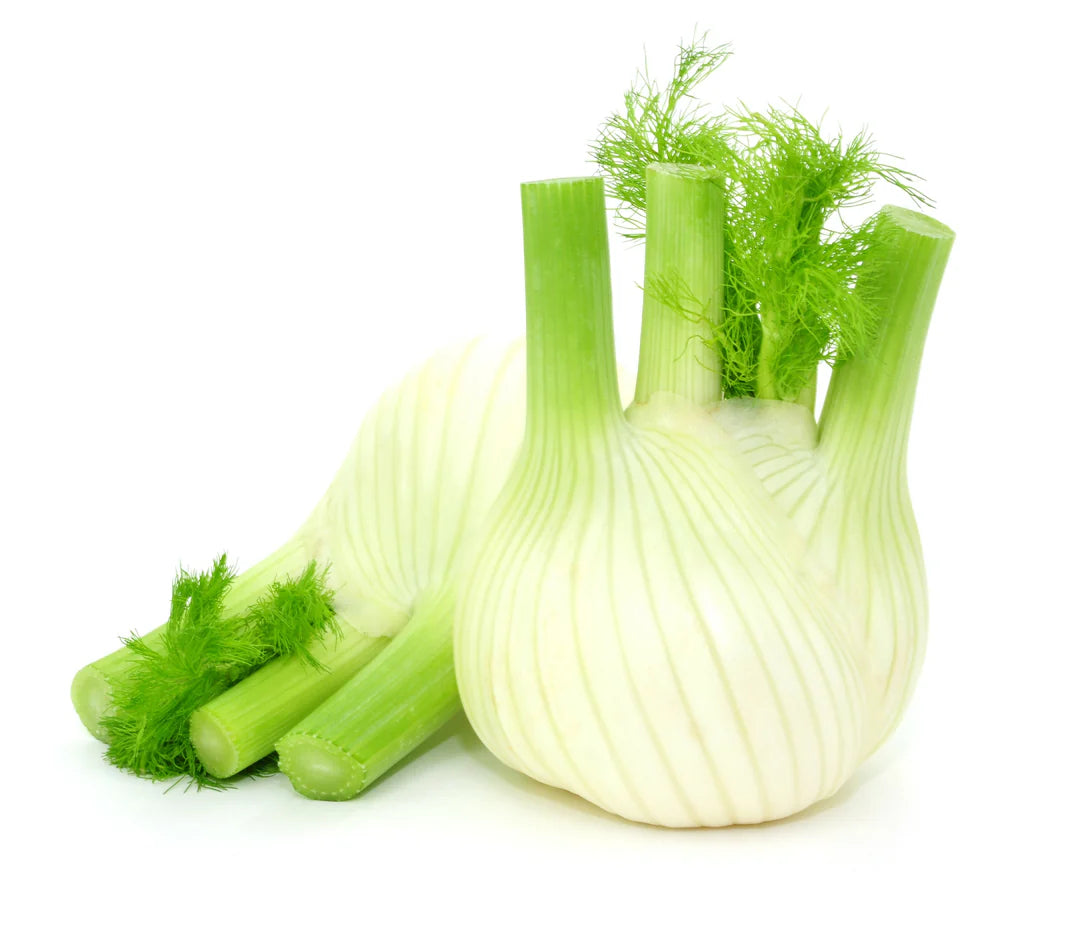 Elite. Fennel each