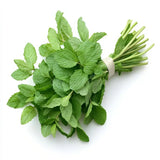 NAT. Mint Bunch