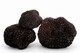 Truffels Fresh