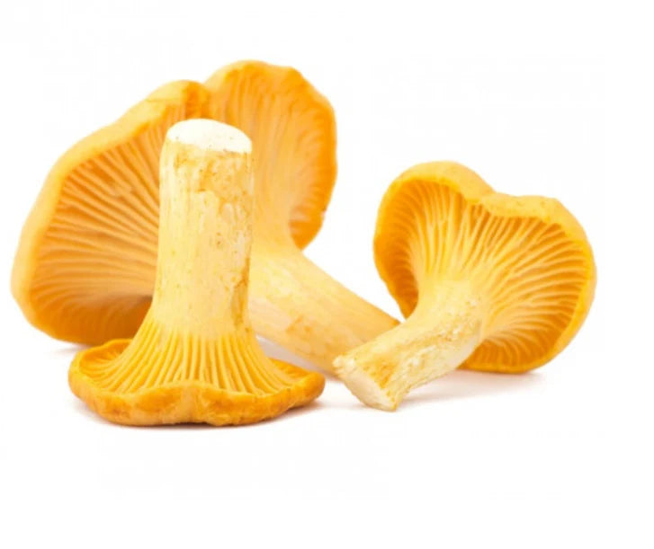 Elite. Girolle Mushrooms 1x1kg