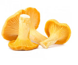 Elite. Girolle Mushrooms 1x1kg