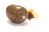 WAL. Haggis Cheiftain