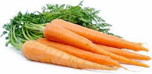 Carrot Bunched Green Top