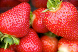 Elite. Strawberry 400g  Punnet NEW SEASON ENGLISH