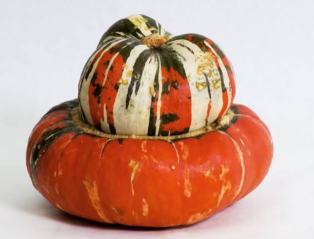 NAT. Turks Turban Squash