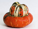 NAT. Turks Turban Squash