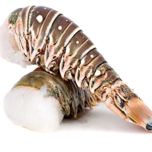 STICK. Lobster Tail Raw Individual 140g  Each  FZ