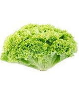 Elite. Lollo Biondi Lettuce - each