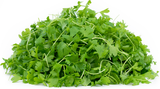 Elite. Micro Celery  25g