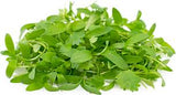 Elite. Micro Coriander  35g