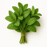 Elite. Mint 100g bunch