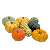 NAT. Mixed Squash