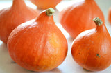 NAT. Onion Squash