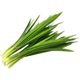 SUP. Pandan Leaf