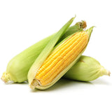 NAT. Corn on Cob in Husk Each