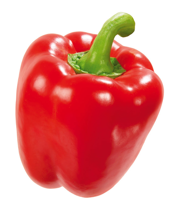Elite. Pepper Red - each