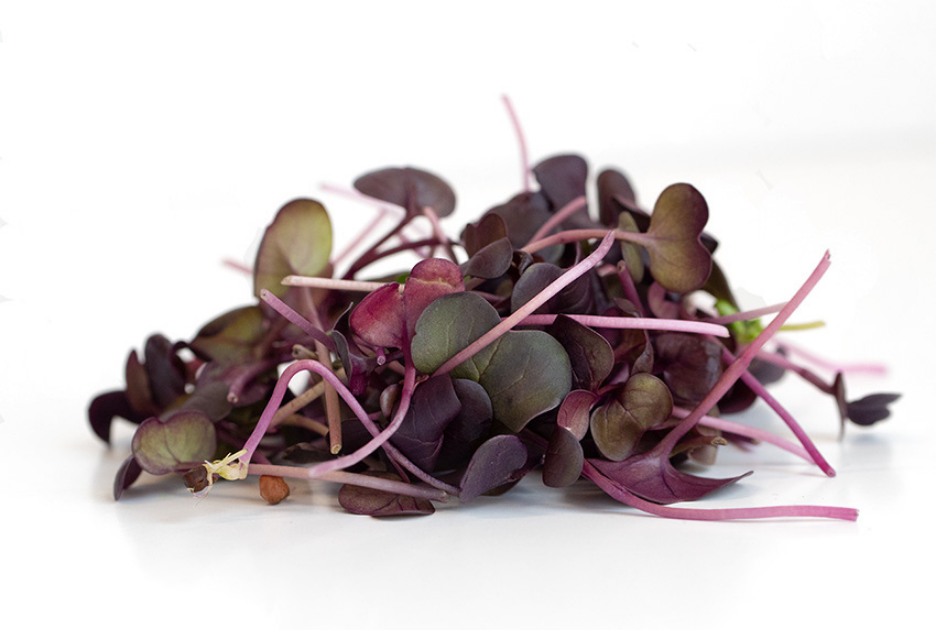 SUP. Micro Red Radish Cress. 30g