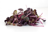SUP. Micro Red Radish Cress. 30g