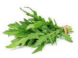 Elite. Roquet Lettuce - 100g